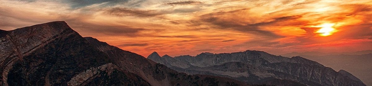 The Scarlet Thread Series